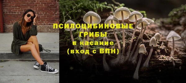 ГАЛЛЮЦИНОГЕННЫЕ ГРИБЫ Алексин